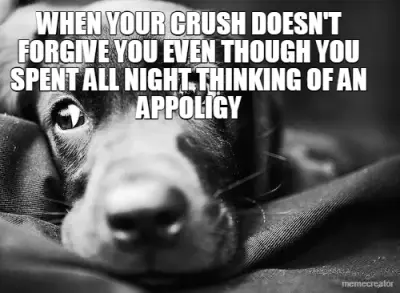 WHEN YOUR CRUSH DOESN'T FORGIVE YOU EVEN THOUGH YOU SPENT ALL NIGHT THINKING OF AN APPOLIGY meme