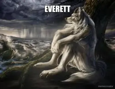 EVERETT meme