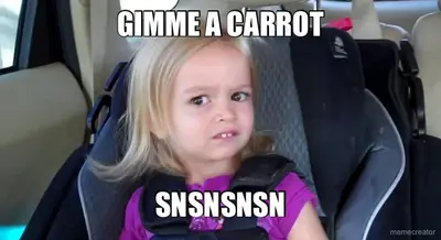 GIMME A CARROT - SNSNSNSN meme