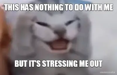 THIS HAS NOTHING TO DO WITH ME - BUT IT'S STRESSING ME OUT meme
