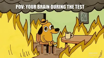 POV: YOUR BRAIN DURING THE TEST meme