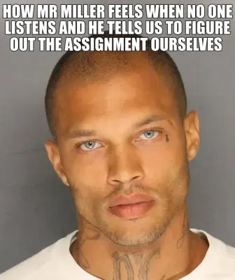 HOW MR MILLER FEELS WHEN NO ONE LISTENS AND HE TELLS US TO FIGURE OUT THE ASSIGNMENT OURSELVES meme