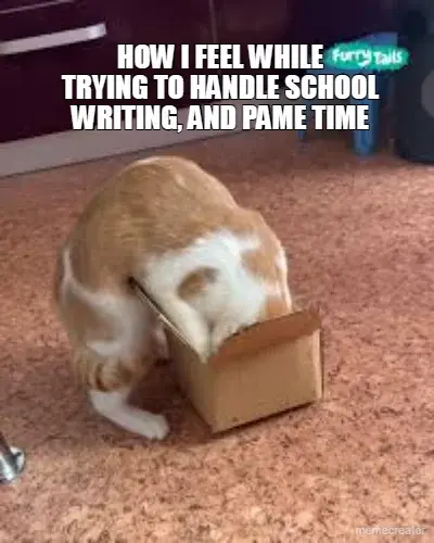 HOW I FEEL WHILE
TRYING TO HANDLE SCHOOL
WRITING, AND PAME TIME meme