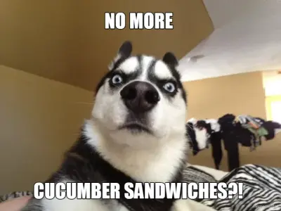 NO MORE  - CUCUMBER SANDWICHES?! meme