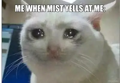 ME WHEN MIST YELLS AT ME: meme