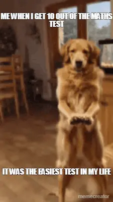 ME WHEN I GET 10 OUT OF THE MATHS TEST - IT WAS THE EASIEST TEST IN MY LIFE meme