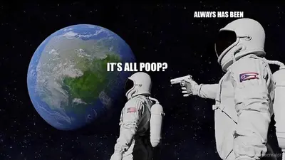 IT’S ALL POOP? - ALWAYS HAS BEEN meme