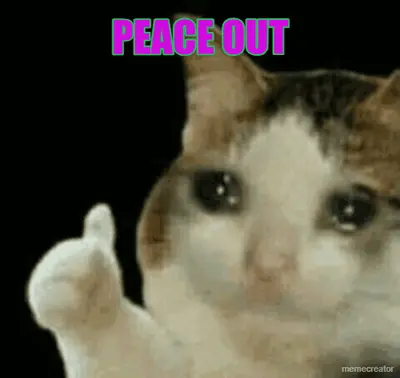 PEACE OUT meme