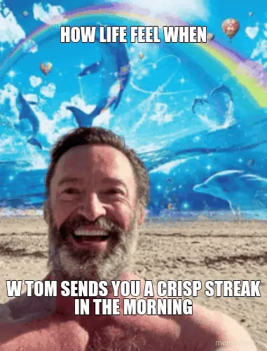 HOW LIFE FEEL WHEN - W TOM SENDS YOU A CRISP STREAK IN THE MORNING meme