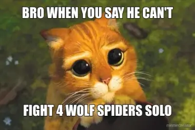 BRO WHEN YOU SAY HE CAN'T  - FIGHT 4 WOLF SPIDERS SOLO meme