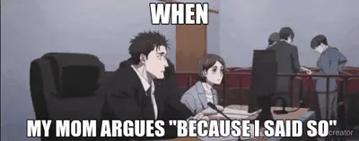 WHEN - MY MOM ARGUES "BECAUSE I SAID SO" meme