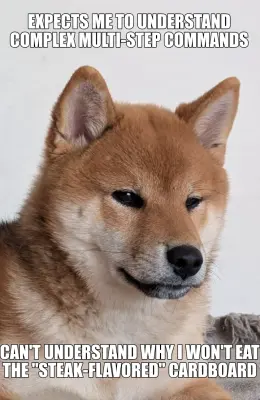 Unsatisfied shibe meme