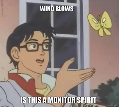 WIND BLOWS  - IS THIS A MONITOR SPIRIT meme