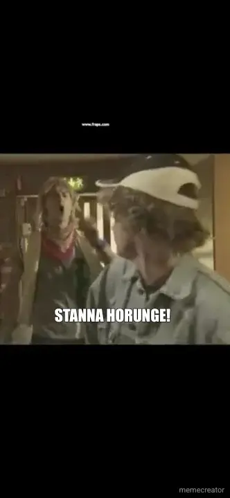 STANNA HORUNGE! meme