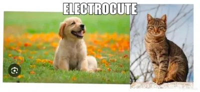 ELECTROCUTE