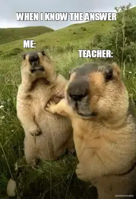 WHEN I KNOW THE ANSWER  - TEACHER: - ME: meme