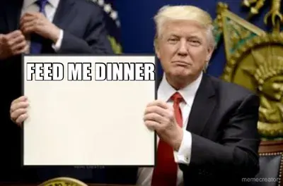 FEED ME DINNER meme
