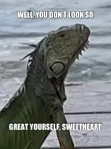 WELL, YOU DON’T LOOK SO - GREAT YOURSELF, SWEETHEART meme