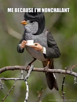 ME BECAUSE I'M NONCHALANT meme