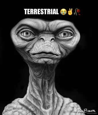 TERRESTRIAL 😭✌️🥀 meme