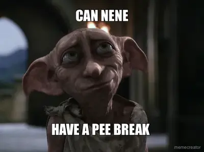 CAN NENE - HAVE A PEE BREAK meme