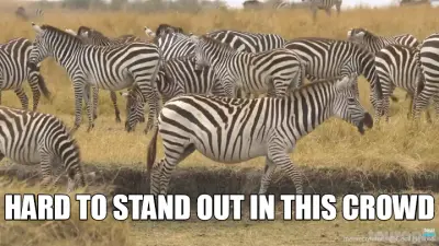HARD TO STAND OUT IN THIS CROWD meme