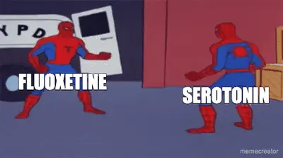 FLUOXETINE - SEROTONIN meme
