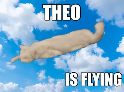 THEO - IS FLYING ❤️ meme