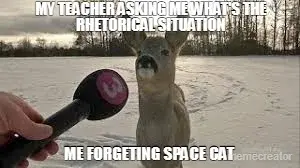 MY TEACHER ASKING ME WHAT'S THE RHETORICAL SITUATION - ME FORGETING SPACE CAT meme
