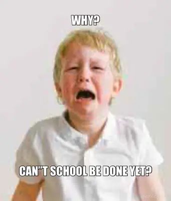 WHY? - CAN”T SCHOOL BE DONE YET? meme
