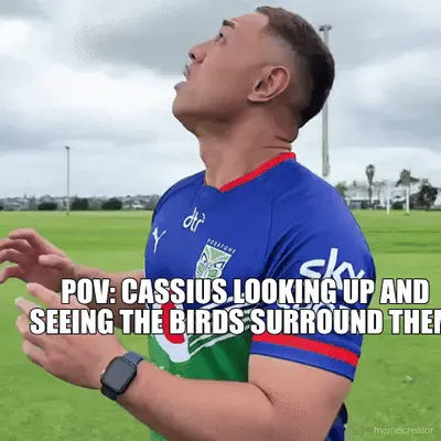 Pov: Cassius looking up and seeing the birds surround them. meme