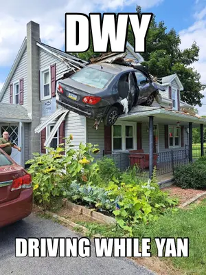 DWY - DRIVING WHILE YAN meme