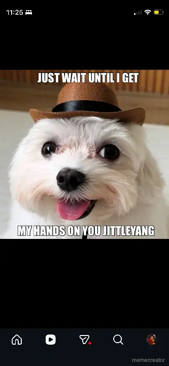 JUST WAIT UNTIL I GET  - MY HANDS ON YOU JITTLEYANG meme