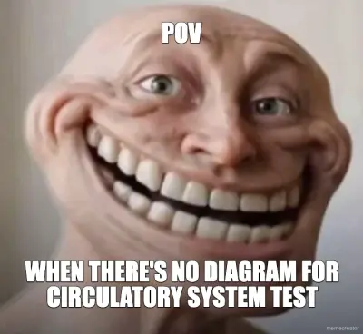 POV - WHEN THERE'S NO DIAGRAM FOR CIRCULATORY SYSTEM TEST meme