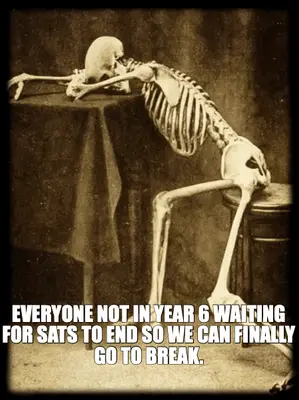 EVERYONE NOT IN YEAR 6 WAITING FOR SATS TO END SO WE CAN FINALLY GO TO BREAK. meme