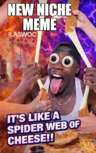 NEW NICHE MEME meme