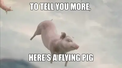 TO TELL YOU MORE,  - HERE'S A FLYING PIG meme