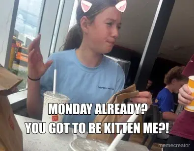 MONDAY ALREADY? - YOU GOT TO BE KITTEN ME?!