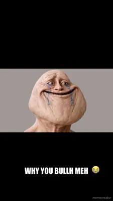 WHY YOU BULLH MEH meme