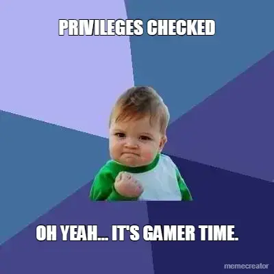 PRIVILEGES CHECKED - OH YEAH... IT'S GAMER TIME. meme