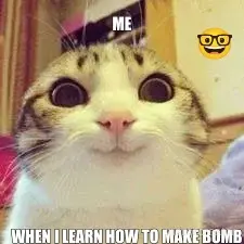 ME - WHEN I LEARN HOW TO MAKE BOMB meme