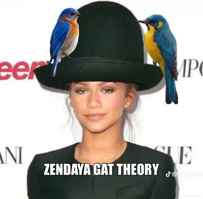 ZENDAYA GAT THEORY meme