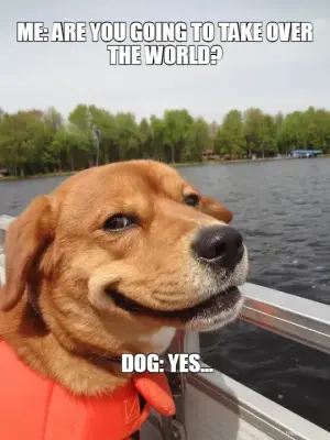 ME: ARE YOU GOING TO TAKE OVER THE WORLD? - DOG: YES... meme