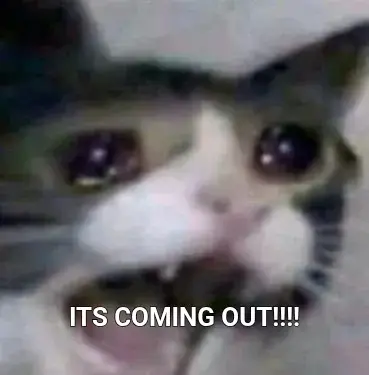 ITS COMING OUT!!!! meme