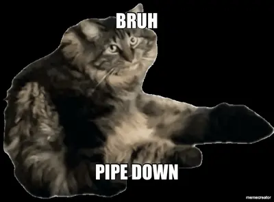 BRUH - PIPE DOWN meme