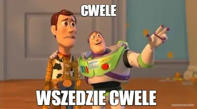CWELE - WSZEDZIE CWELE meme