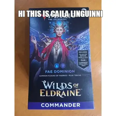 HI THIS IS CAILA LINGUINNI meme