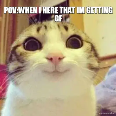 POV:WHEN I HERE THAT IM GETTING GF - meme