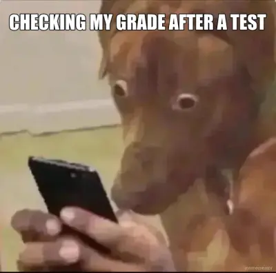 CHECKING MY GRADE AFTER A TEST meme