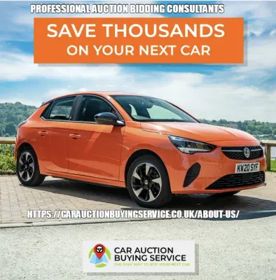PROFESSIONAL AUCTION BIDDING CONSULTANTS — HTTPS://CARAUCTIONBUYINGSERVICE.CO.UK/ABOUT-US/ meme